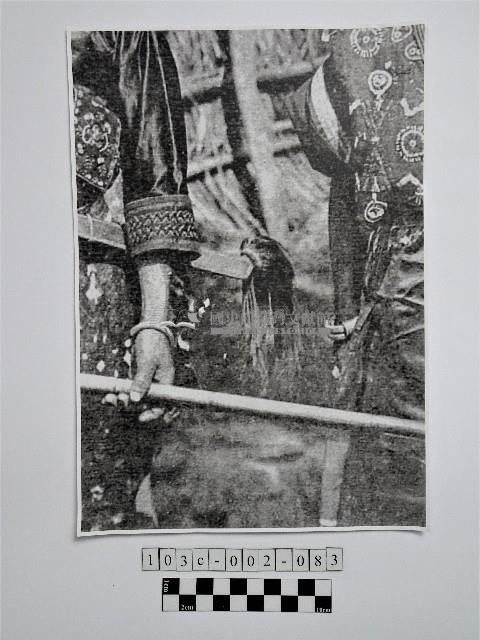 黃則修攝手持物品特寫藏品圖，第1張