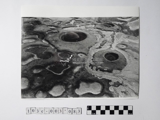黃則修攝野柳地景溶蝕盤藏品圖，第1張