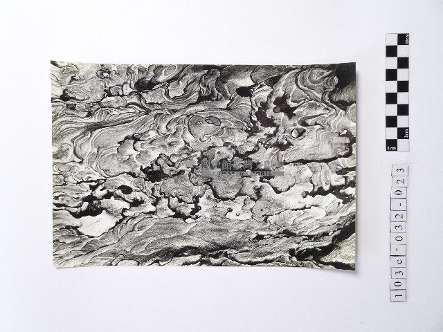 黃則修攝野柳地景藏品圖，第1張