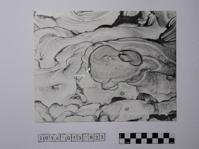 黃則修攝野柳地景風化紋藏品圖，第1張