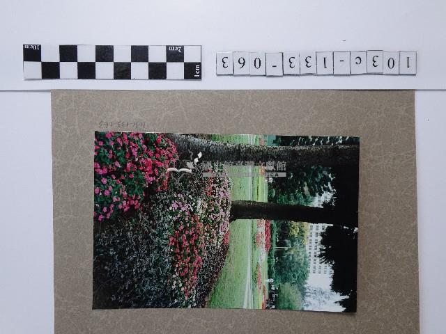 花圃藏品圖，第1張