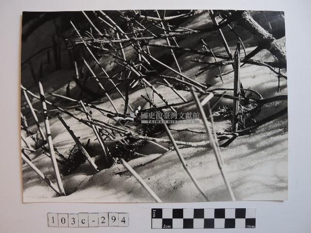 高山風情藏品圖，第1張