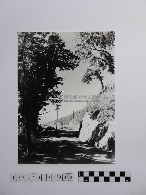 黃則修攝小徑藏品圖，第1張