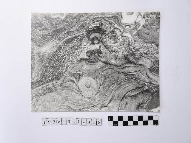 黃則修攝野柳地景藏品圖，第1張