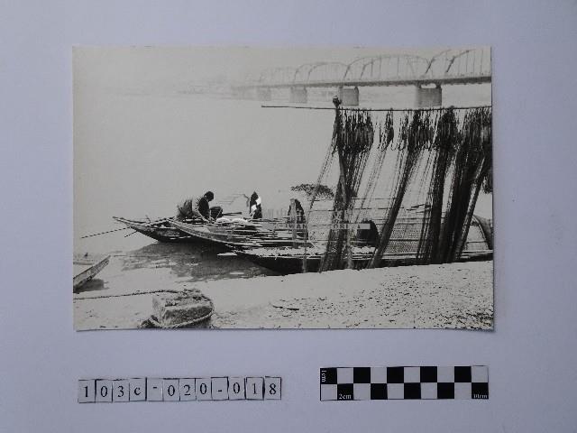 黃則修攝晒網藏品圖，第1張