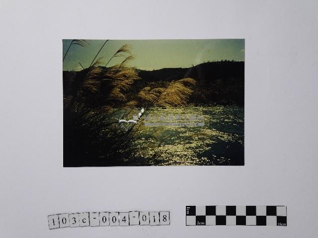 黃則修攝南勢溪澎湃的清流藏品圖，第1張