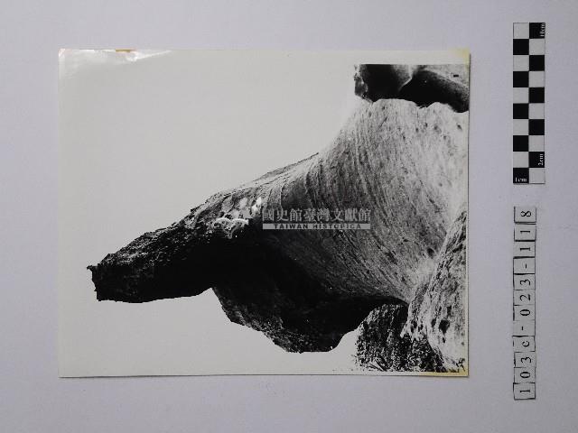 黃則修攝野柳地景藏品圖，第1張