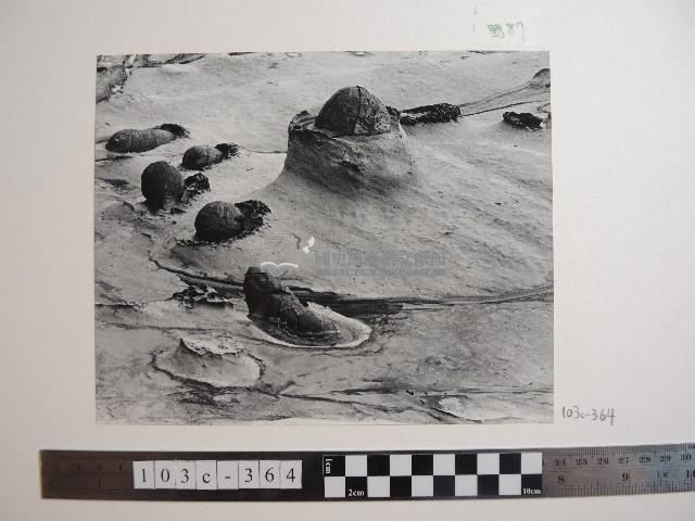 野柳風景藏品圖，第1張