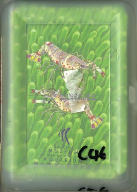國立海洋生物博物館魚類撲克牌藏品圖，第1張