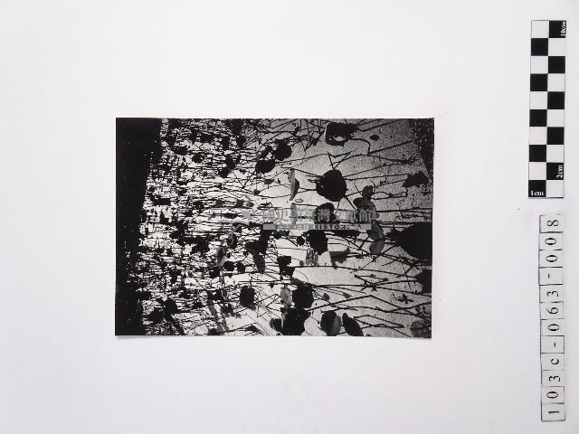 黃則修攝荷花池8藏品圖，第1張