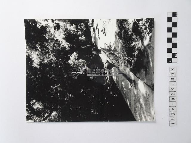 黃則修攝男子藏品圖，第1張