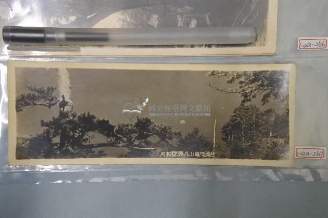 台灣阿里山八通關松月老照片藏品圖，第1張