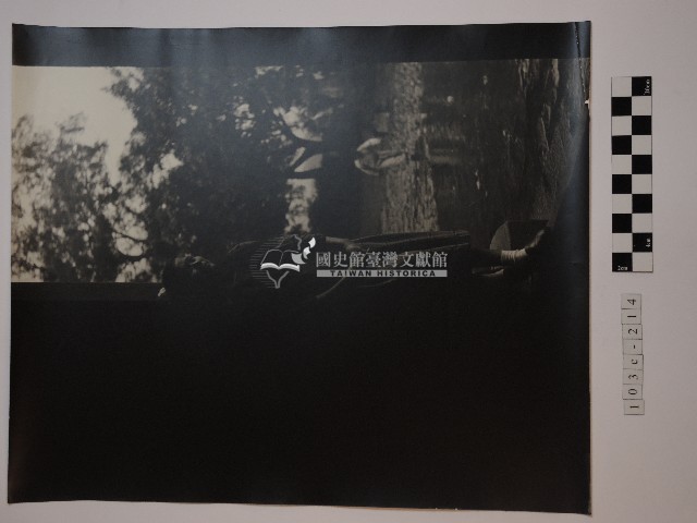 女子獨照藏品圖，第1張