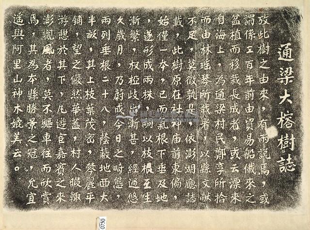 通梁大榕樹誌拓本藏品圖，第1張
