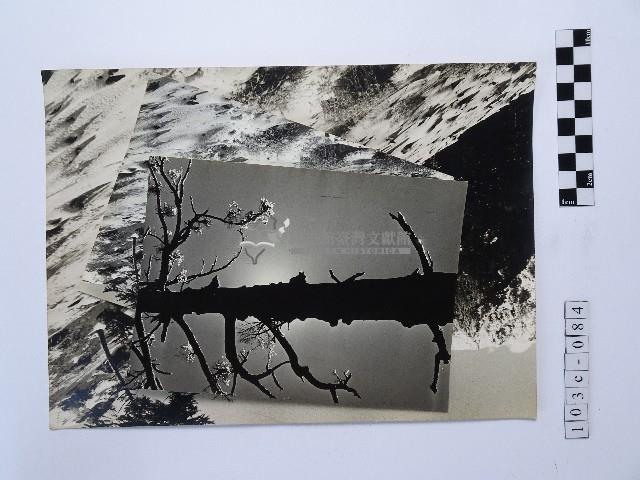 黃則修攝高山風情系列照片藏品圖，第1張