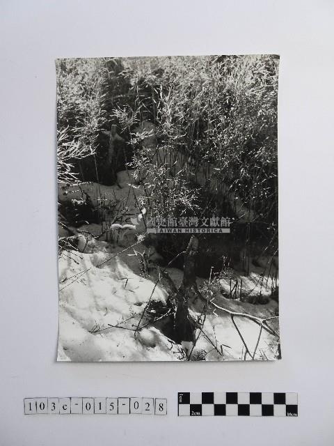 黃則修攝高山風情藏品圖，第1張