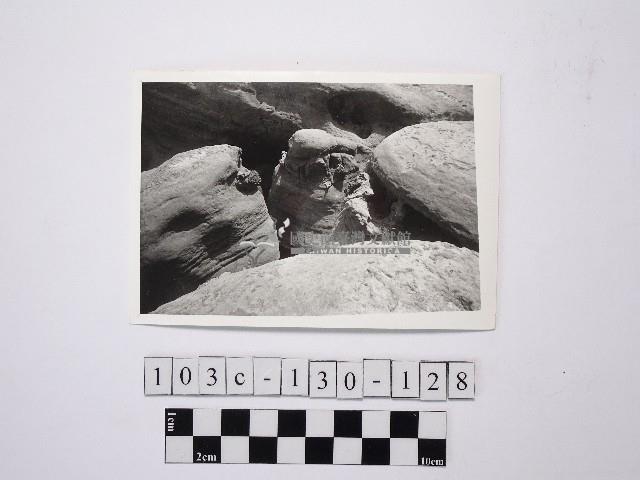 野柳地形藏品圖，第1張