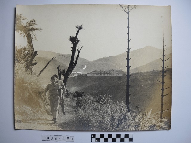 行走者藏品圖，第1張