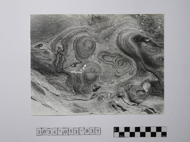 黃則修攝野柳地景藏品圖，第1張