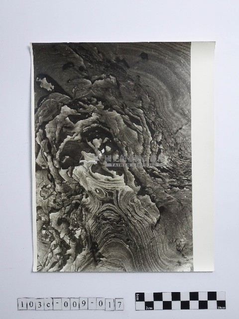 黃則修攝野柳地景藏品圖，第1張
