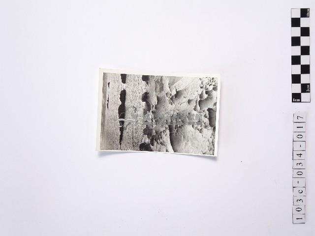 黃則修攝野柳地景藏品圖，第1張