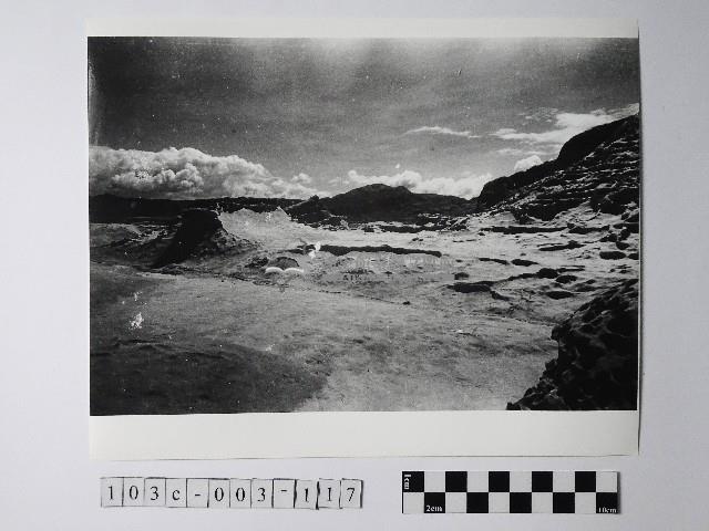 黃則修攝野柳地景藏品圖，第1張