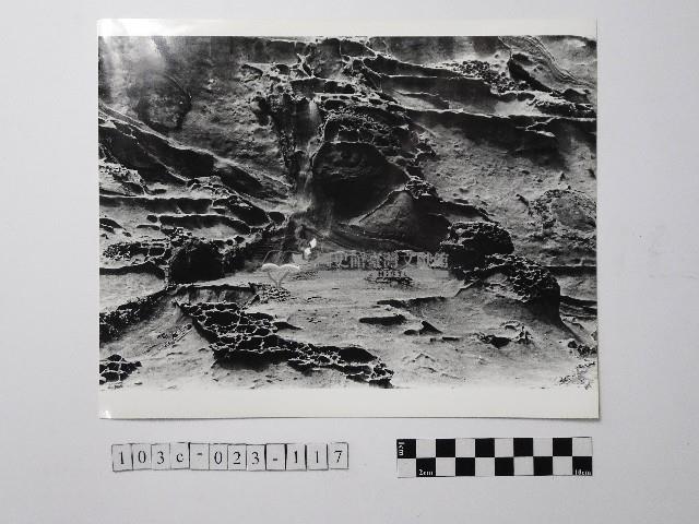 黃則修攝野柳地景藏品圖，第1張