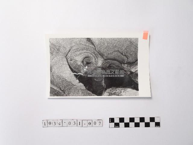 黃則修攝野柳地景ET留像藏品圖，第1張