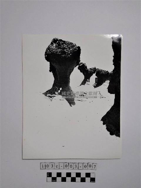 黃則修攝野柳地景蕈狀岩藏品圖，第1張