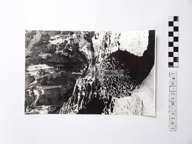 黃則修攝野柳地景蜂窩岩藏品圖，第1張