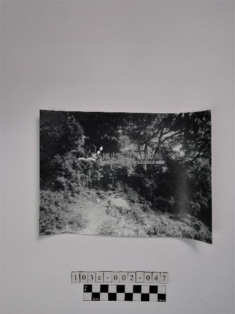 黃則修攝山林藏品圖，第1張