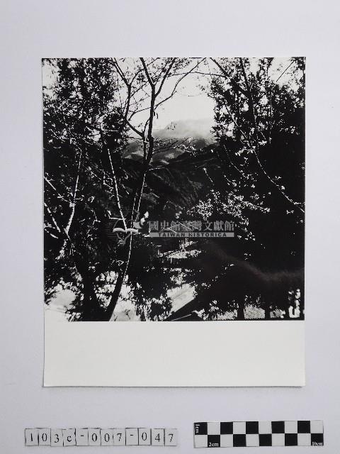 黃則修攝霧社之春藏品圖，第1張