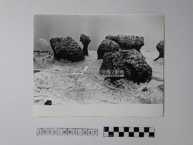 黃則修攝野柳地景蜂窩岩藏品圖，第1張