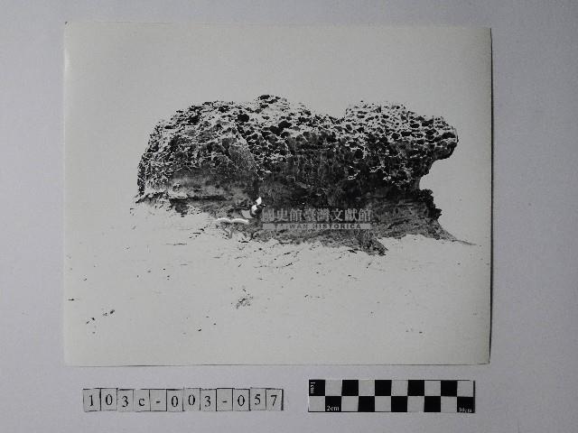 黃則修攝野柳地景蜂窩岩藏品圖，第1張