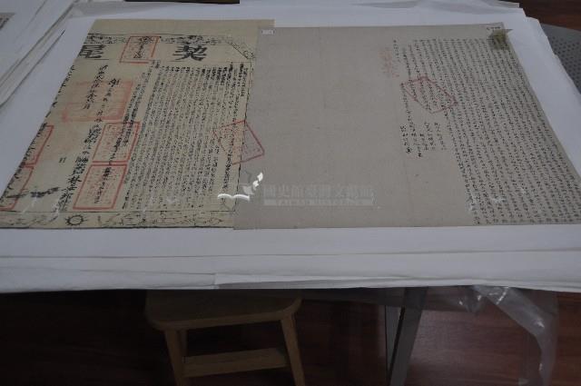 道光十七年胡咸臨等三人立杜賣盡根契藏品圖，第1張