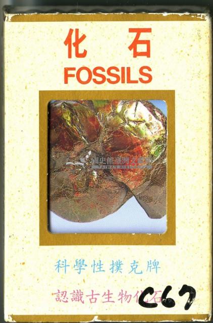 化石撲克牌藏品圖，第1張