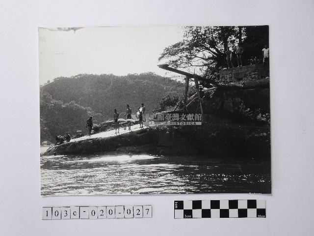 黃則修攝碧潭晨泳藏品圖，第1張