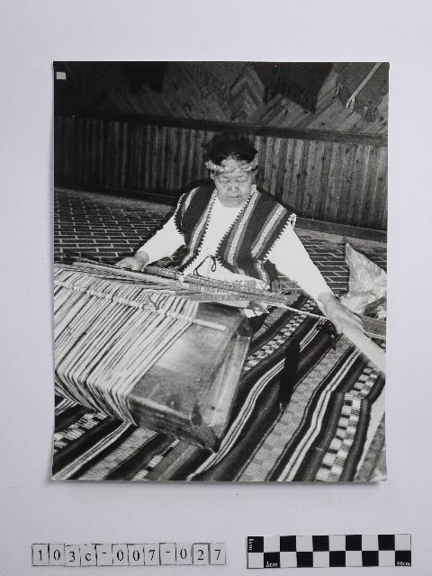 黃則修攝高山紡娘藏品圖，第1張