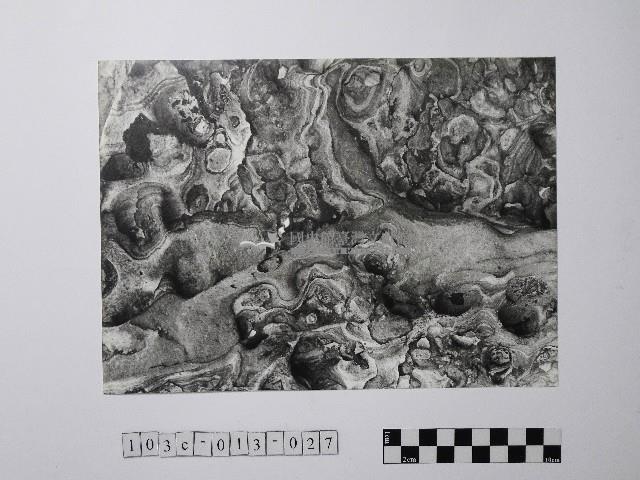 黃則修攝野柳地景風化紋藏品圖，第1張