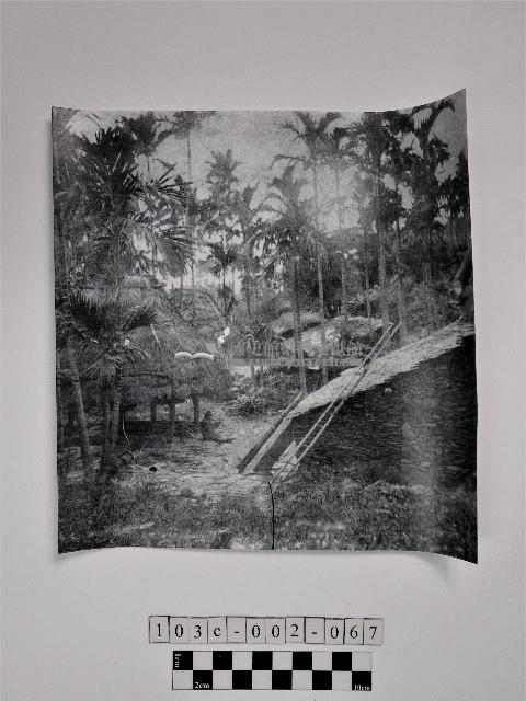 黃則修攝石板屋及茅草屋藏品圖，第1張