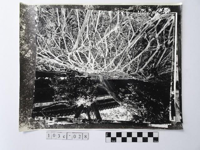 黃則修攝指南宮系列照片藏品圖，第1張