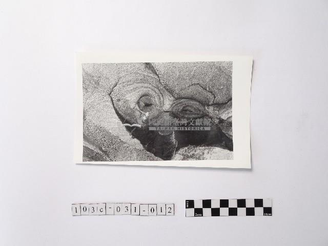 黃則修攝野柳地景ET留像藏品圖，第1張