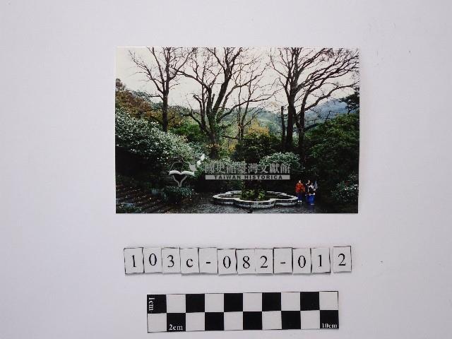 黃則修攝梅花池藏品圖，第1張