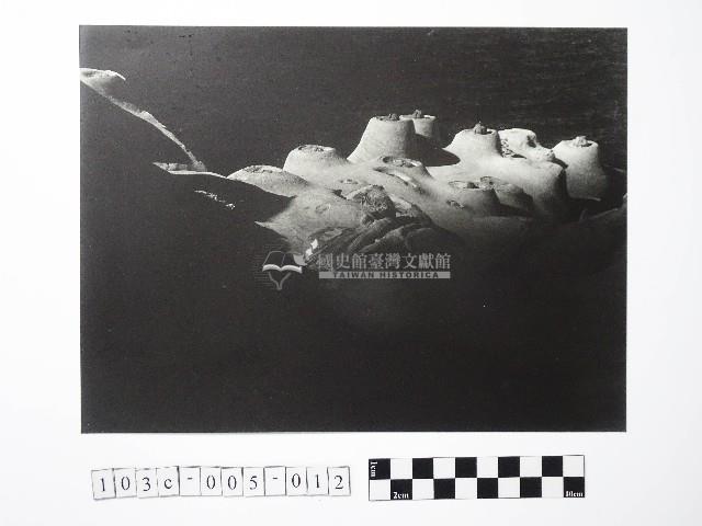 黃則修攝野柳地景燭臺石藏品圖，第1張