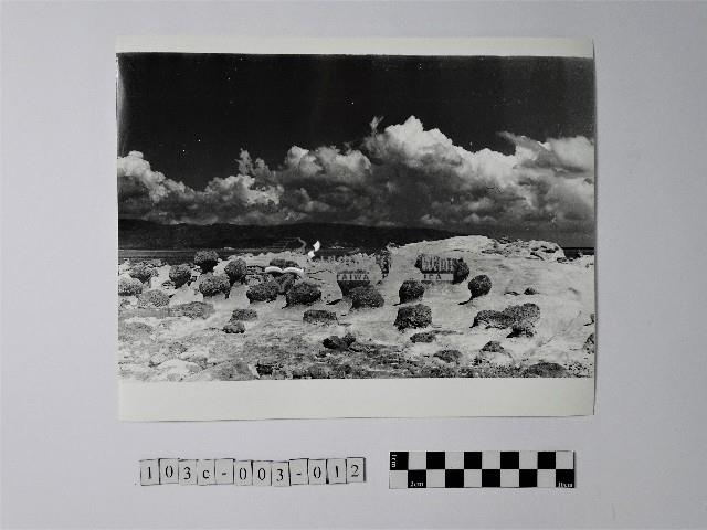 黃則修攝野柳地景蕈狀岩藏品圖，第1張