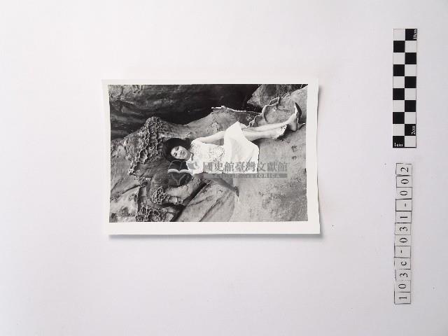 黃則修攝野柳的稀客－凌波藏品圖，第1張