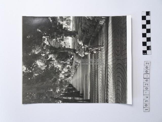 黃則修攝男孩藏品圖，第1張