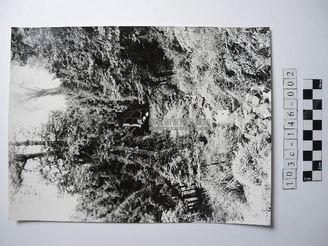 曾文溪源頭藏品圖，第1張