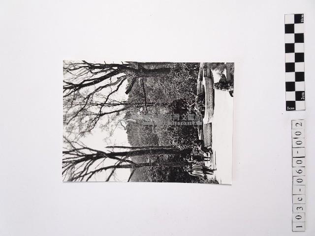 黃則修攝陽明山梅花池藏品圖，第1張