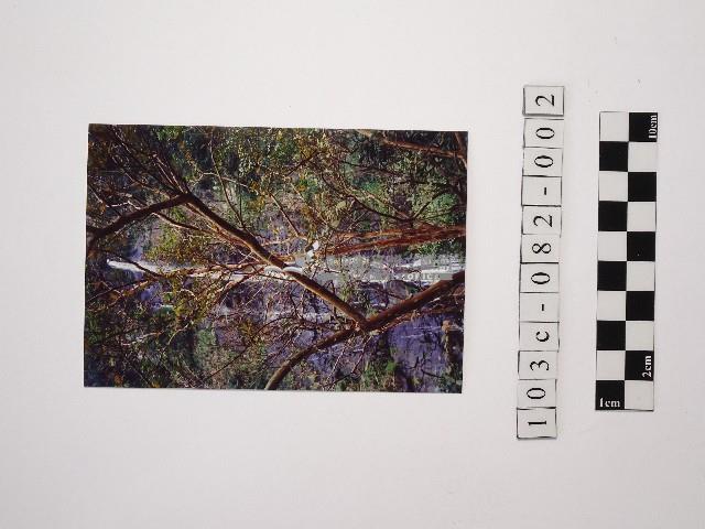 黃則修攝瀑布2藏品圖，第1張